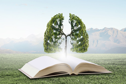 How to develop a story idea – Step 2. The first messy draft